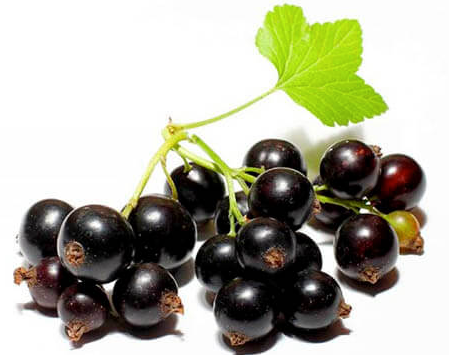 Смородина чорна свіжа, другого товарного сорту, ДСТУ 8319, 1 кг